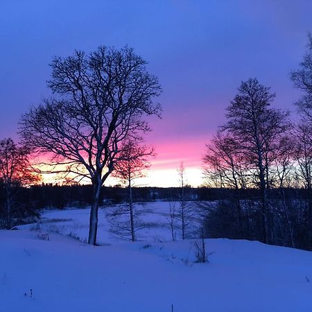 Snokebo Gård Villa Vimmerby Eksteriør bilde