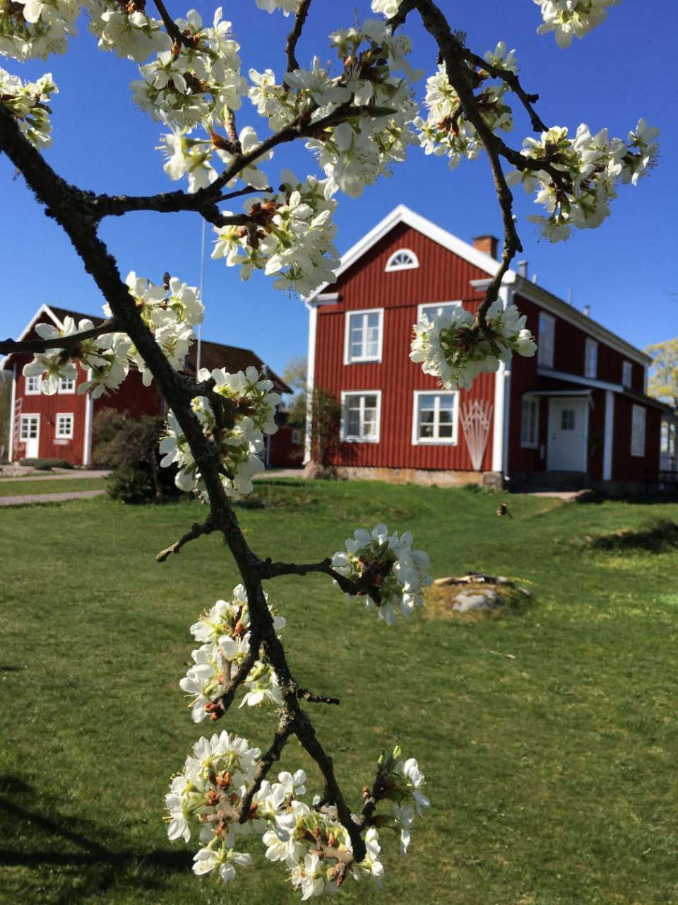 Snokebo Gård Villa Vimmerby Eksteriør bilde
